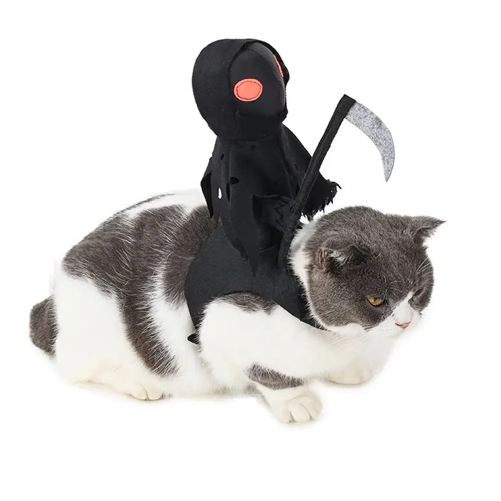 Halloween Costume for your cat.  Ruby loves how mad this cat looks!