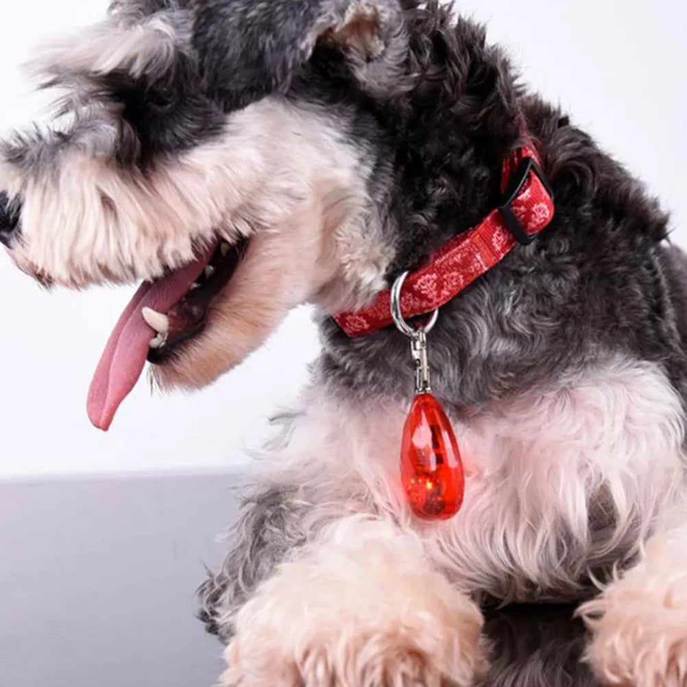 LED Collar Lights 2 Pack Bright  & Reusable