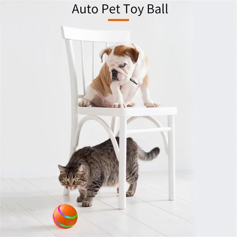 Remote Control Smart Interactive Pet Ball