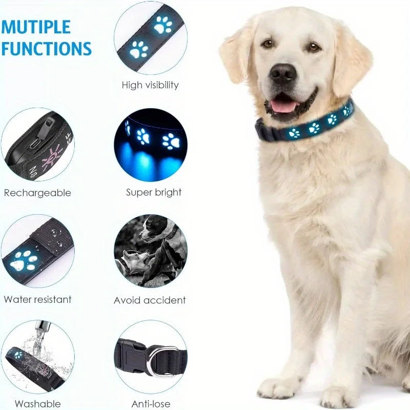 USB Chargeable Collar - 7 colors of light to choose from.