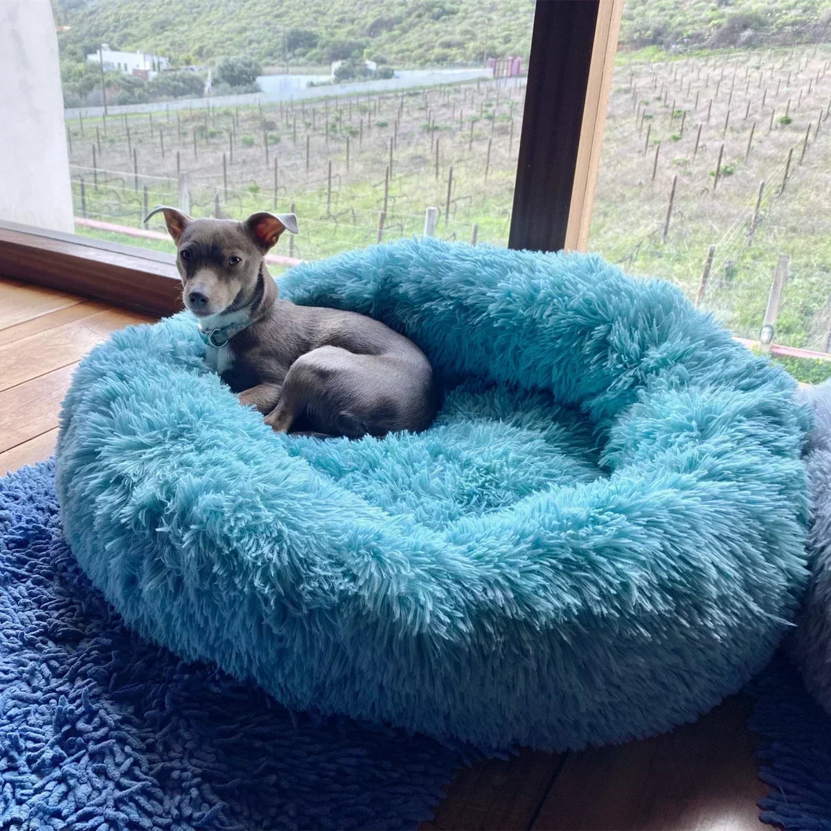 Round Super Soft Bed
