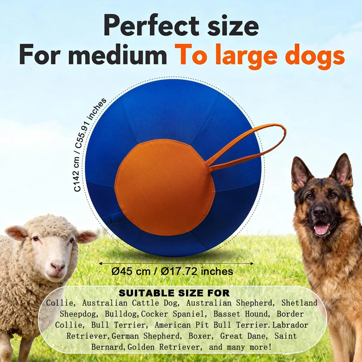 Herding Interactive Ball