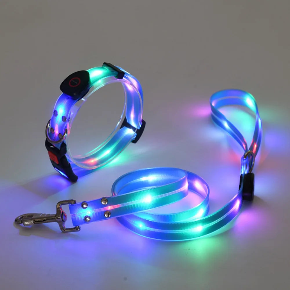 Rechargeable, Adjustable & Waterproof LED Leash for your pup.