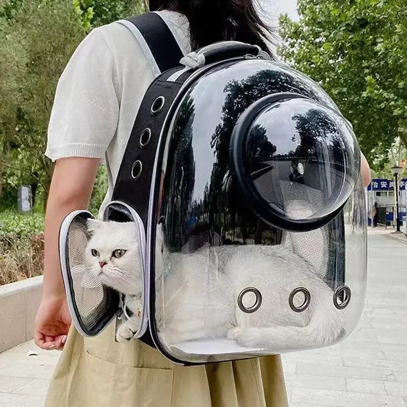 Breathable Transparent Capsule Bubble Backpack