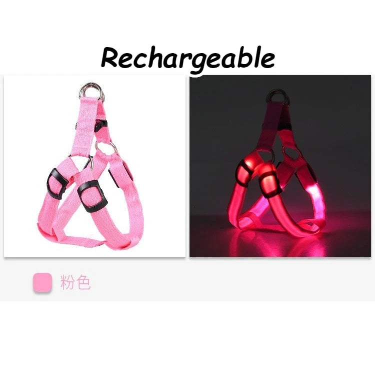 LED Light Up Harness for your pup's night time walks.