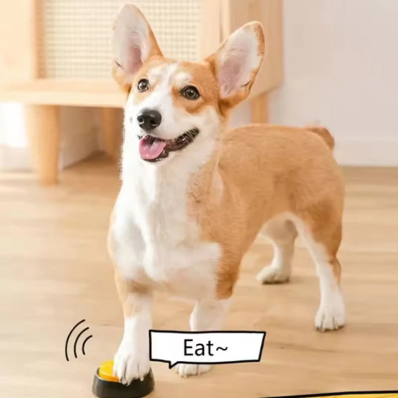 Voice Recording Buzzer for Pet Training