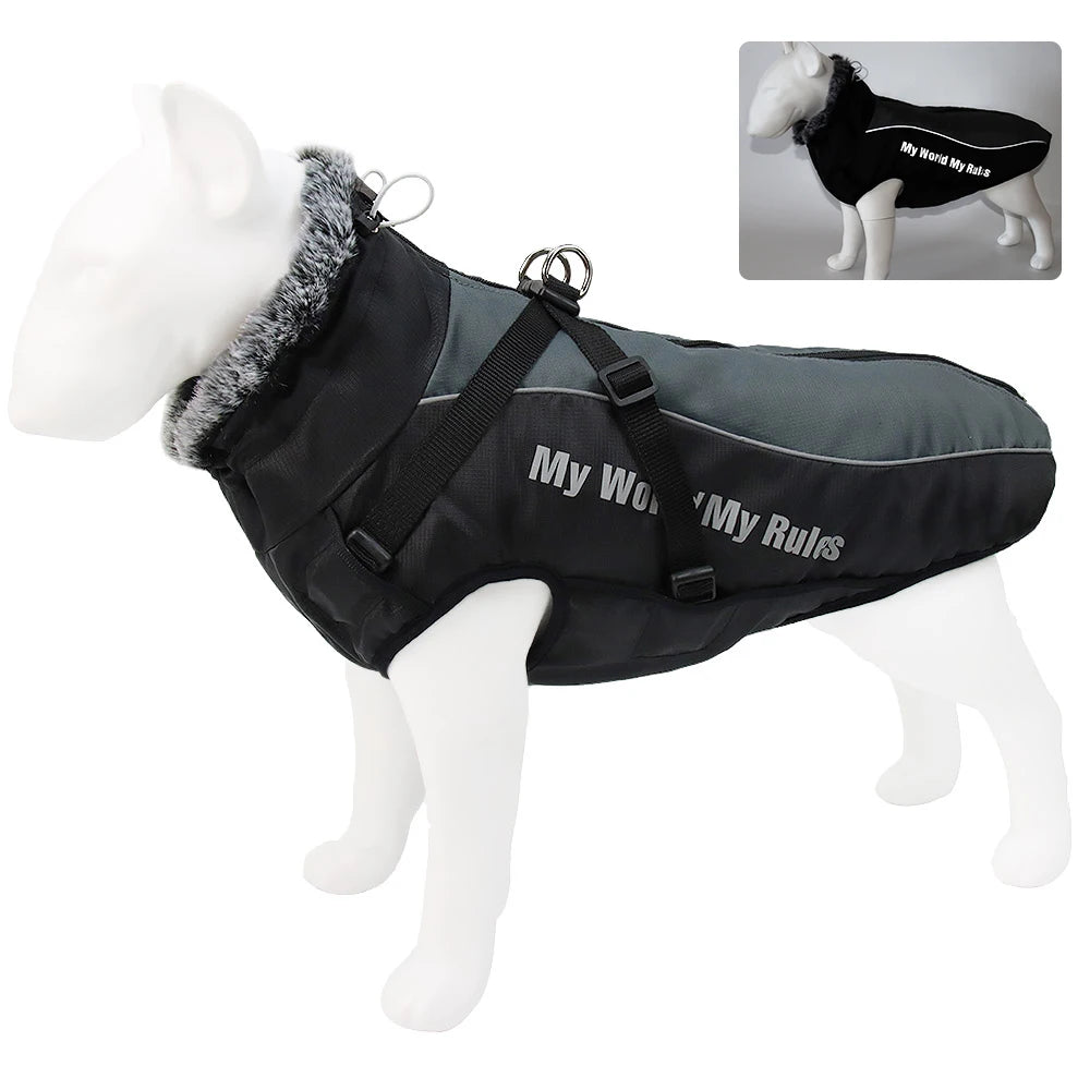 Waterproof Winter Coat With Harness or your pup.