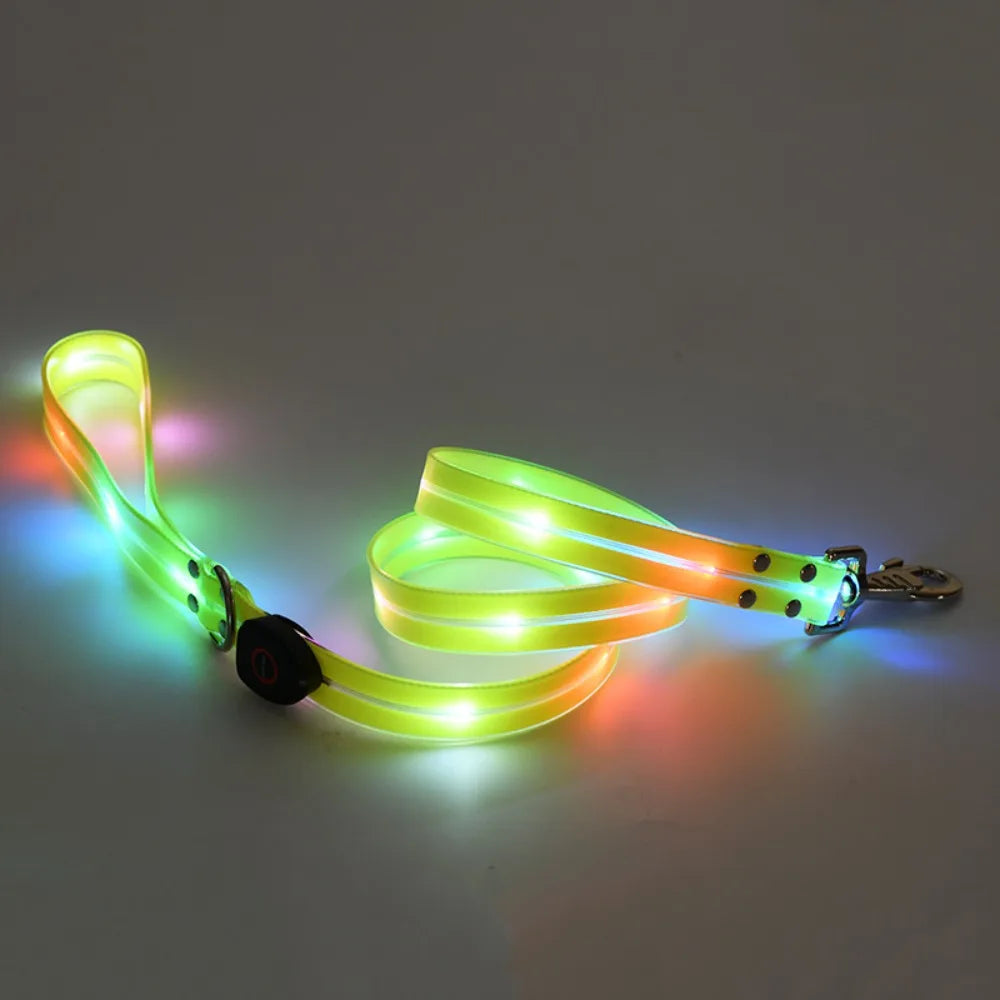 Rechargeable, Adjustable & Waterproof LED Leash for your pup.