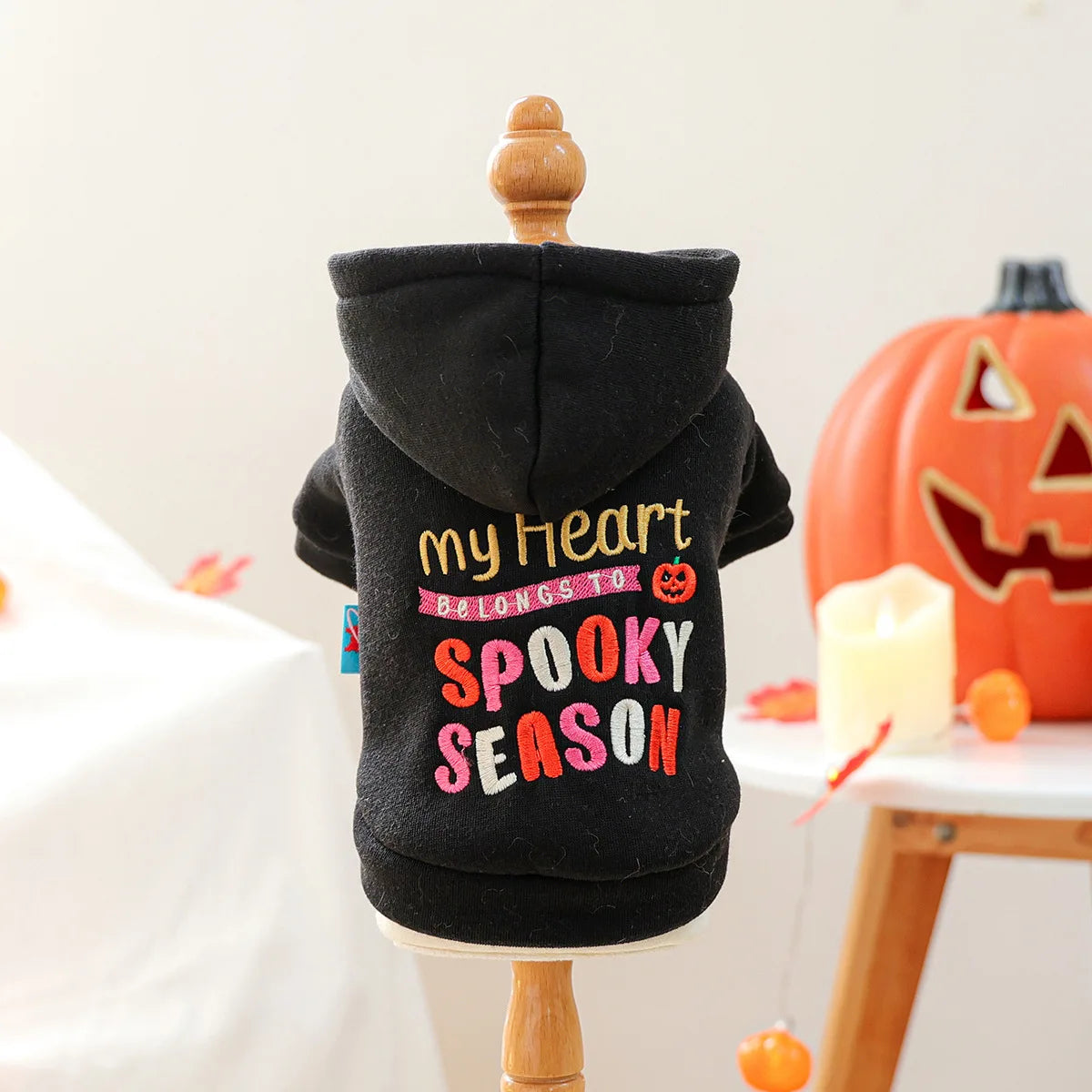 Halloween Good Witch Print Sweatshirt for Small your Dog