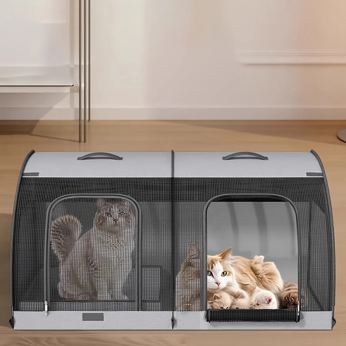 Cat Carrier
