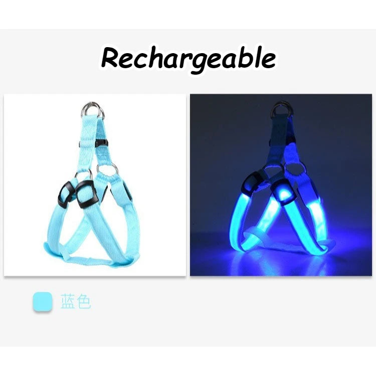 LED Light Up Harness for your pup's night time walks.