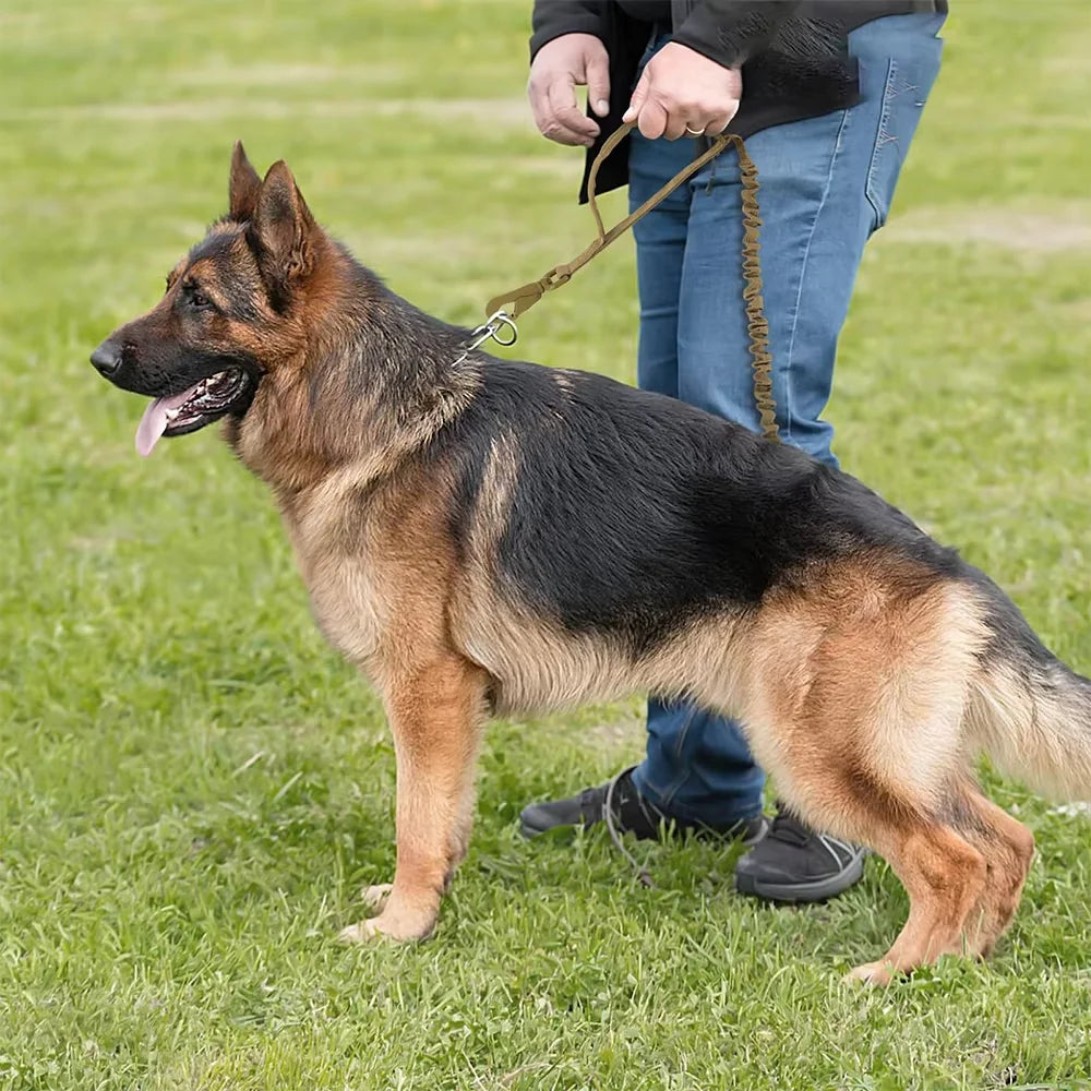 Adjustable Quick Release Leash