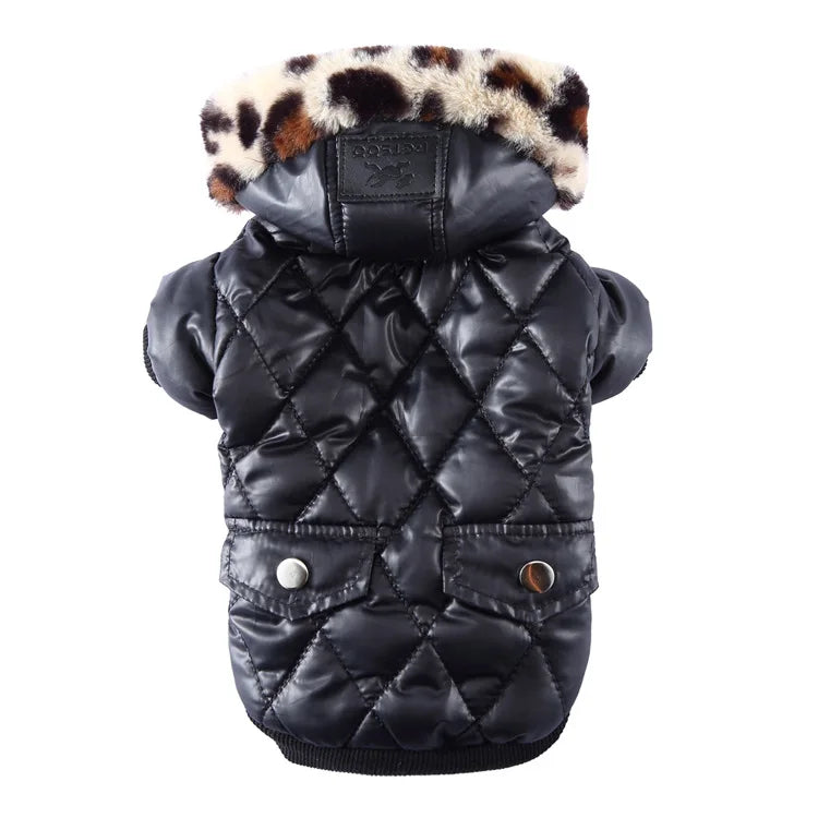 Waterproof Winter Jacket with Print Collar for your pup.