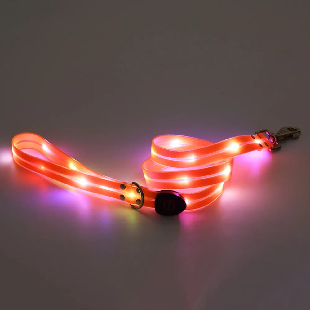 Rechargeable, Adjustable & Waterproof LED Leash for your pup.