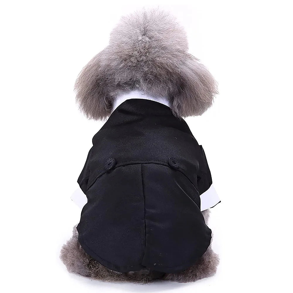 Tuxedo for that special day.