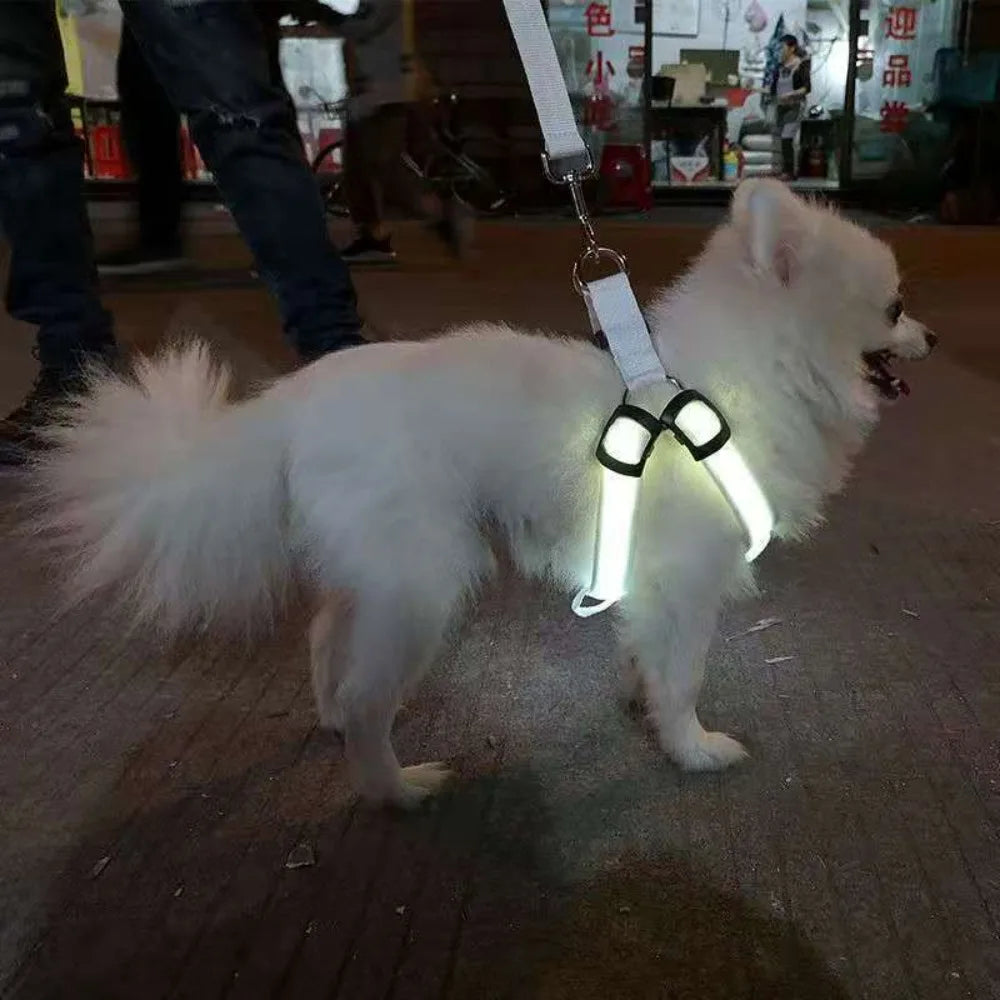 LED Light Up Harness for your pup's night time walks.