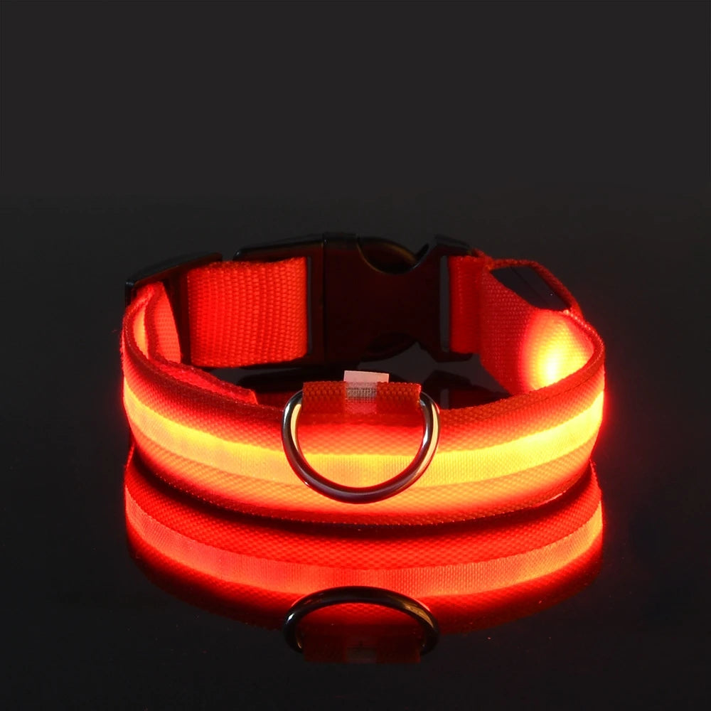 LED Light up collar for your pups nightly walks.