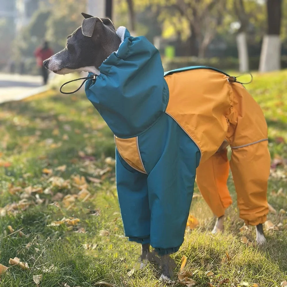 Waterproof Jacket for your greyhound or whippitt.