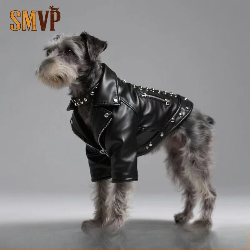 Faux Leather Jacket with Rivets for your punk rocker pup.