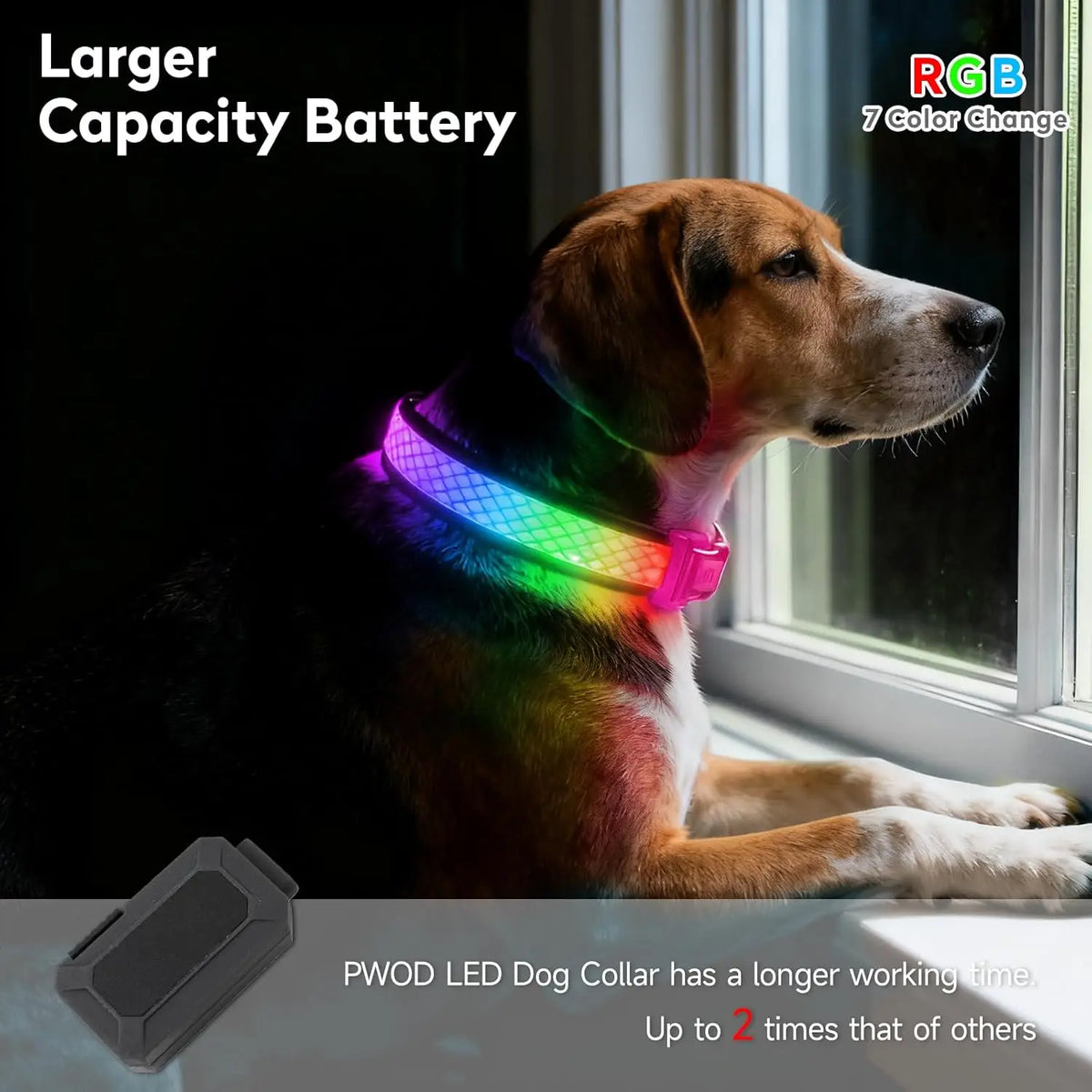 LED USB Rechargeable Light Up Collar for your pup.