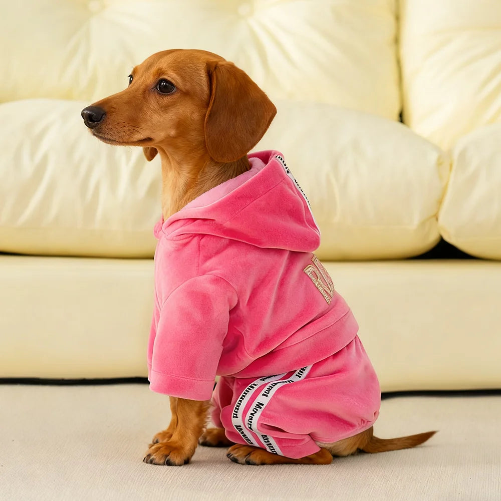 Soft Velvet Jumpsuit for your sporty pup.