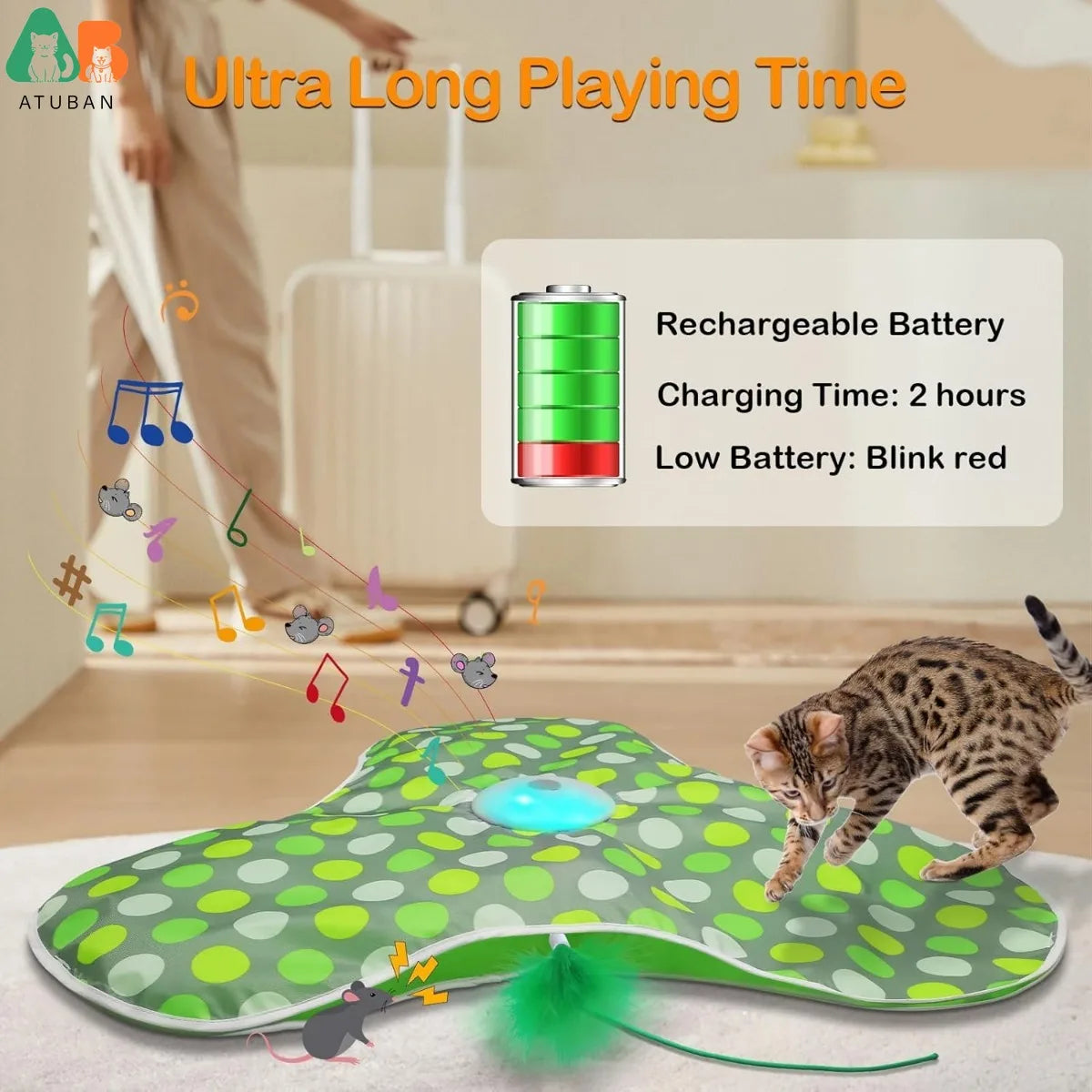 Interactive Cat Toy