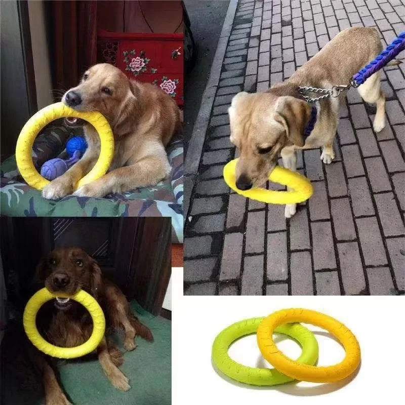 Flying Disk Training Ring