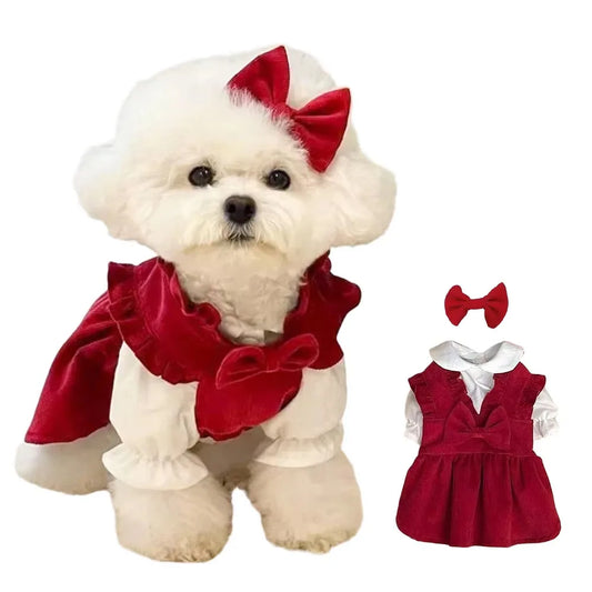 Christmas or Winter Dress for your pup.