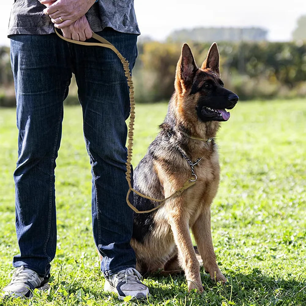 Adjustable Quick Release Leash