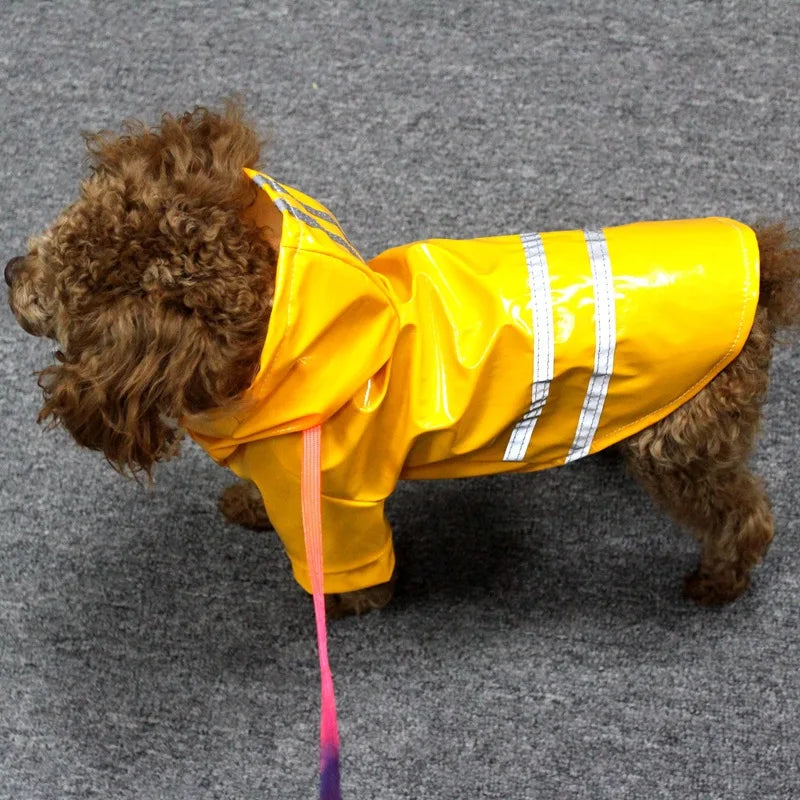 Reflective Raincoat With Hood for your pup.