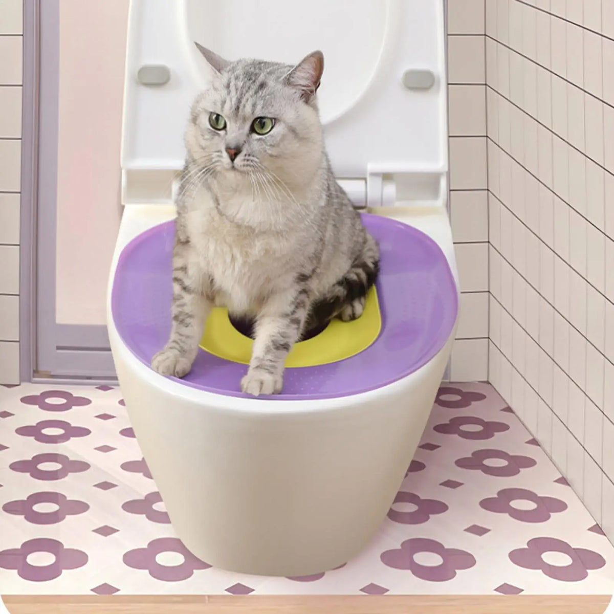 Cat Toilet Training Kit
