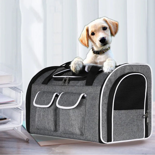 Large Foldable Pet Carrier/Backpack