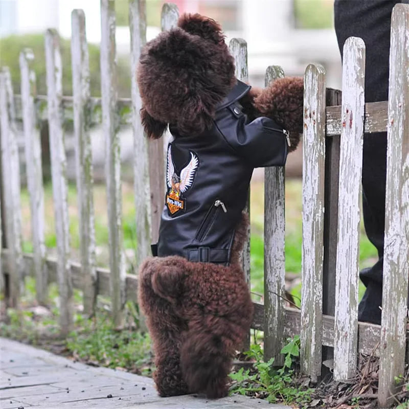 Eagle Pattern Coat PU Leather Jacket Soft & Waterproof for your pup or cat.