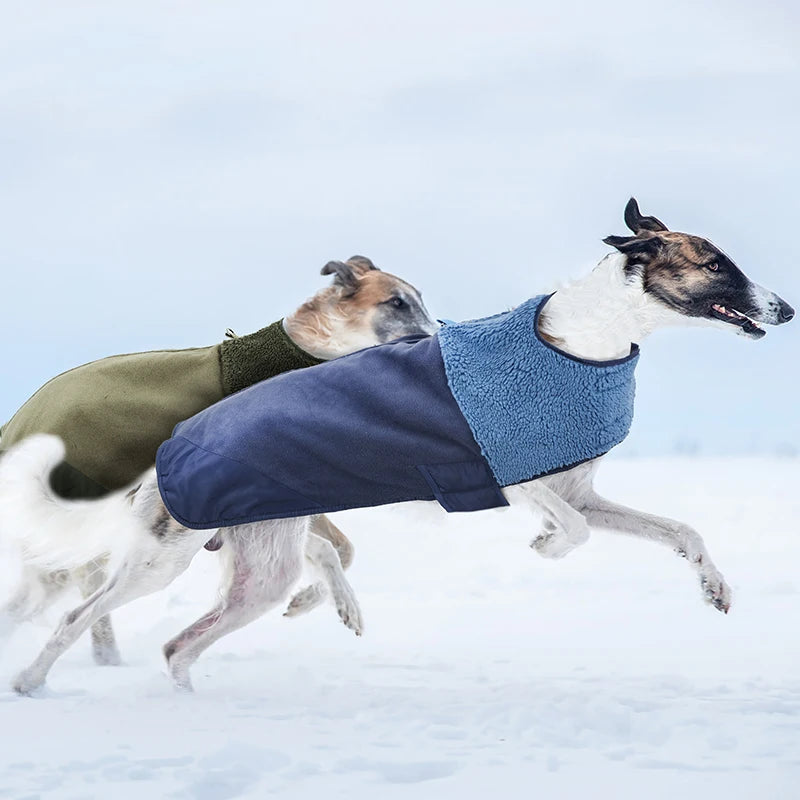 Winter Fleece Jacket for your pup.