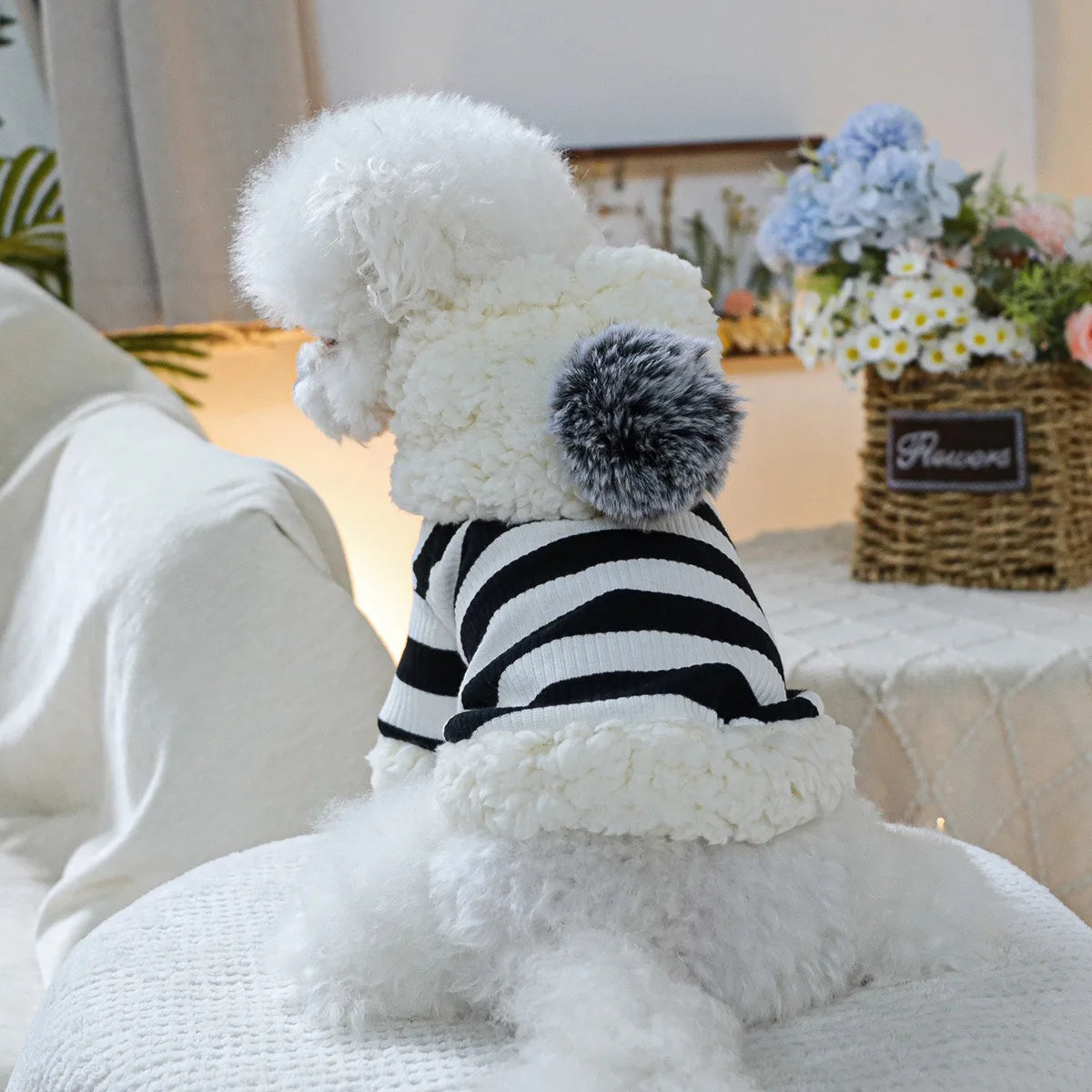 A cute striped hoodie for your small pup.