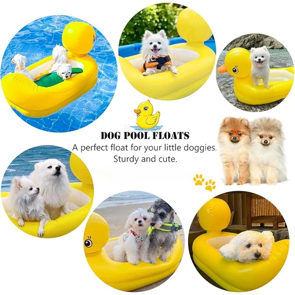 Dogs Duck or Whale Pool Float Inflatable