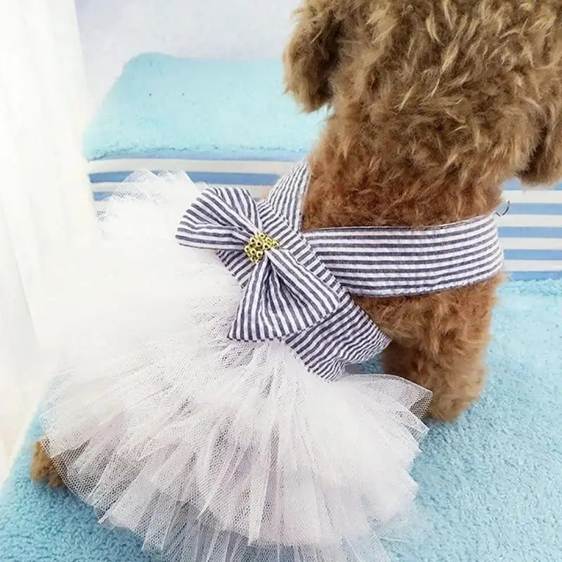 Tutu with Bow for your pup.