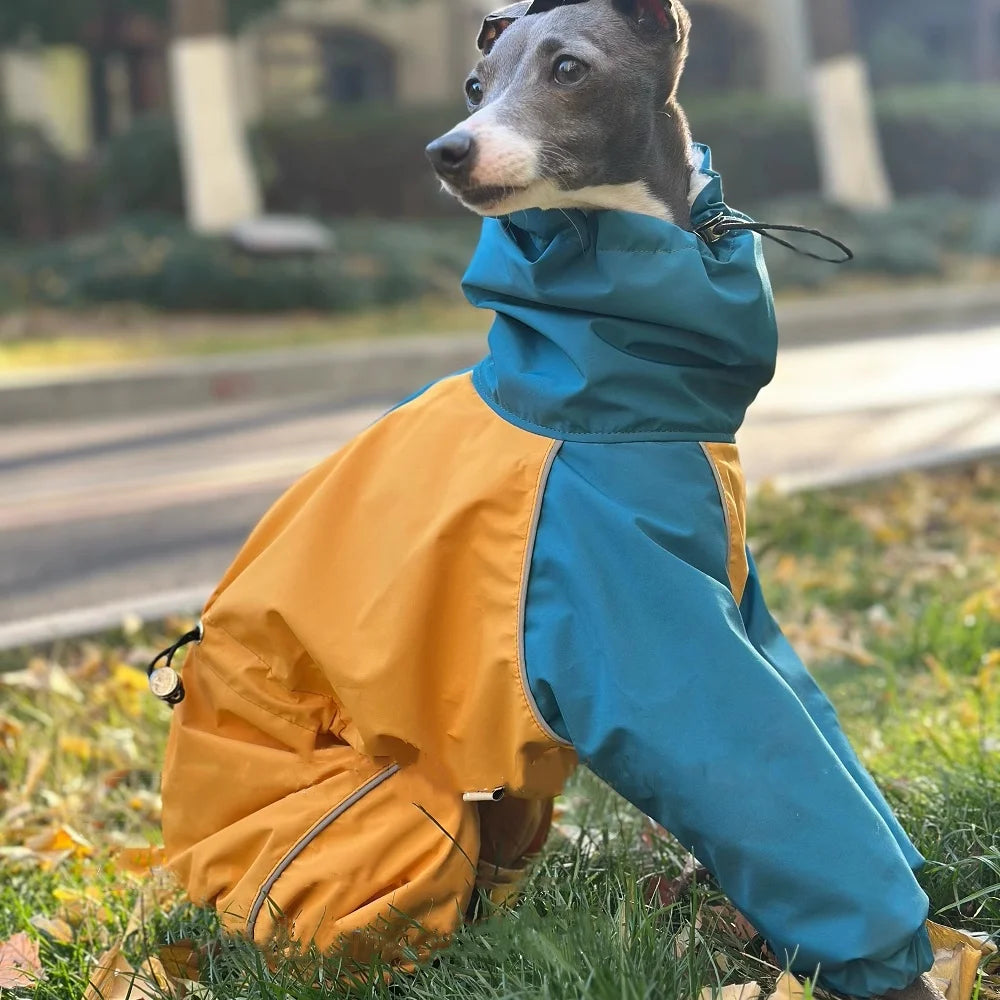 Waterproof Jacket for your greyhound or whippitt.