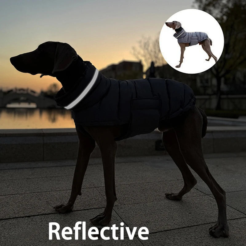 Reflective Winter Coat for your pup.