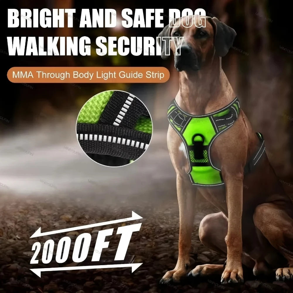 Rechargeable LED Harness with Three Light Modes