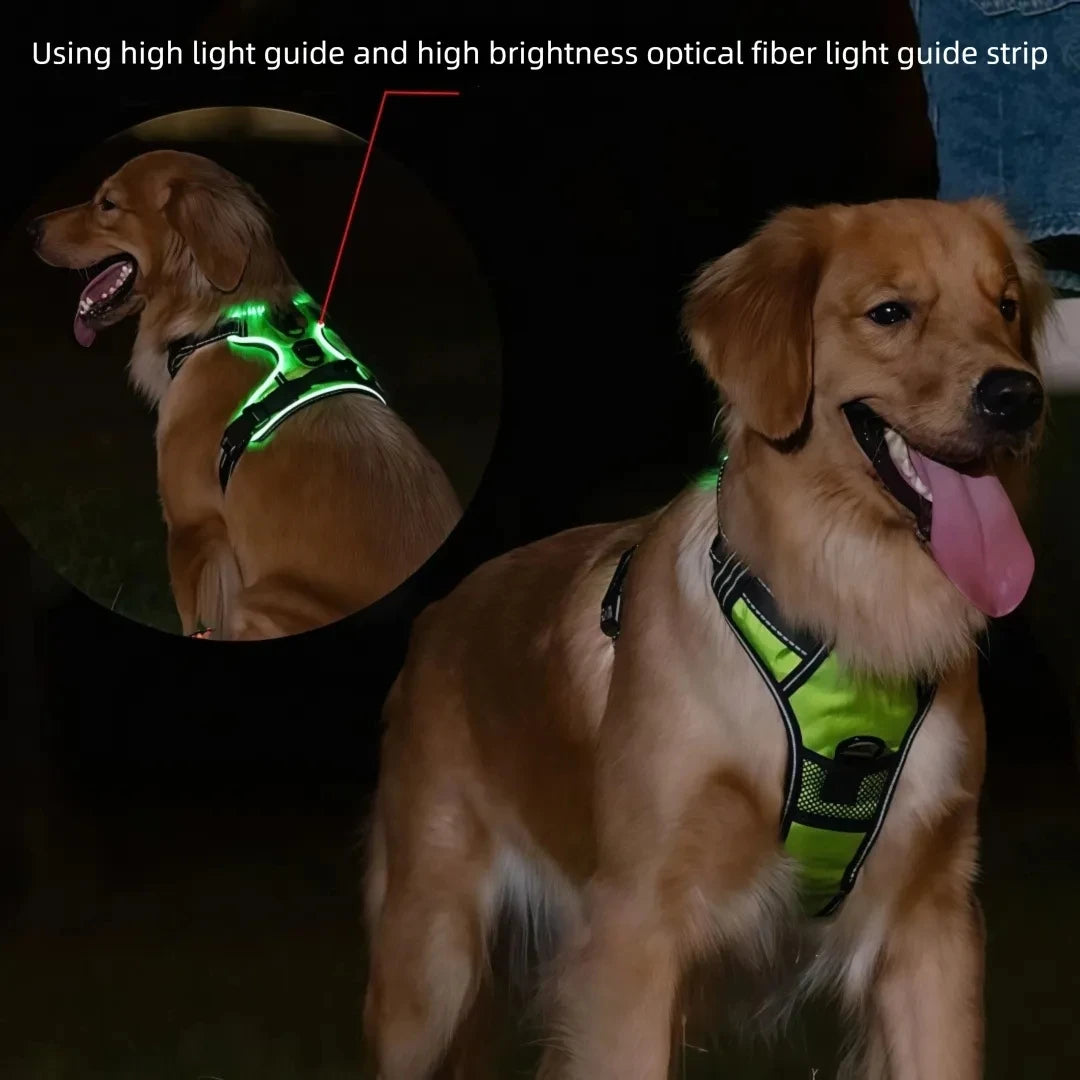 Rechargeable LED Harness with Three Light Modes