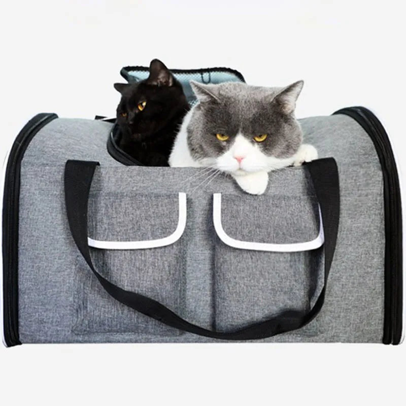 Large Foldable Pet Carrier/Backpack