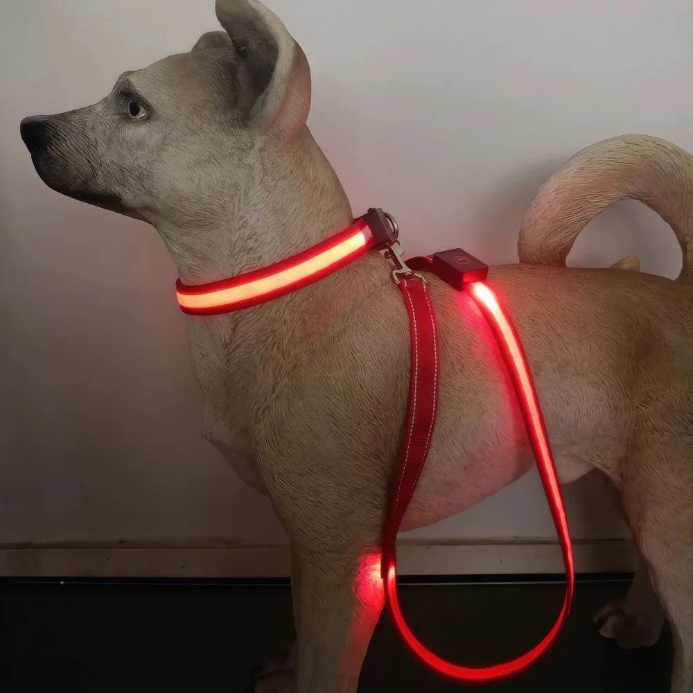 USB Rechargeable LED Light Up Leash for your pups safety.