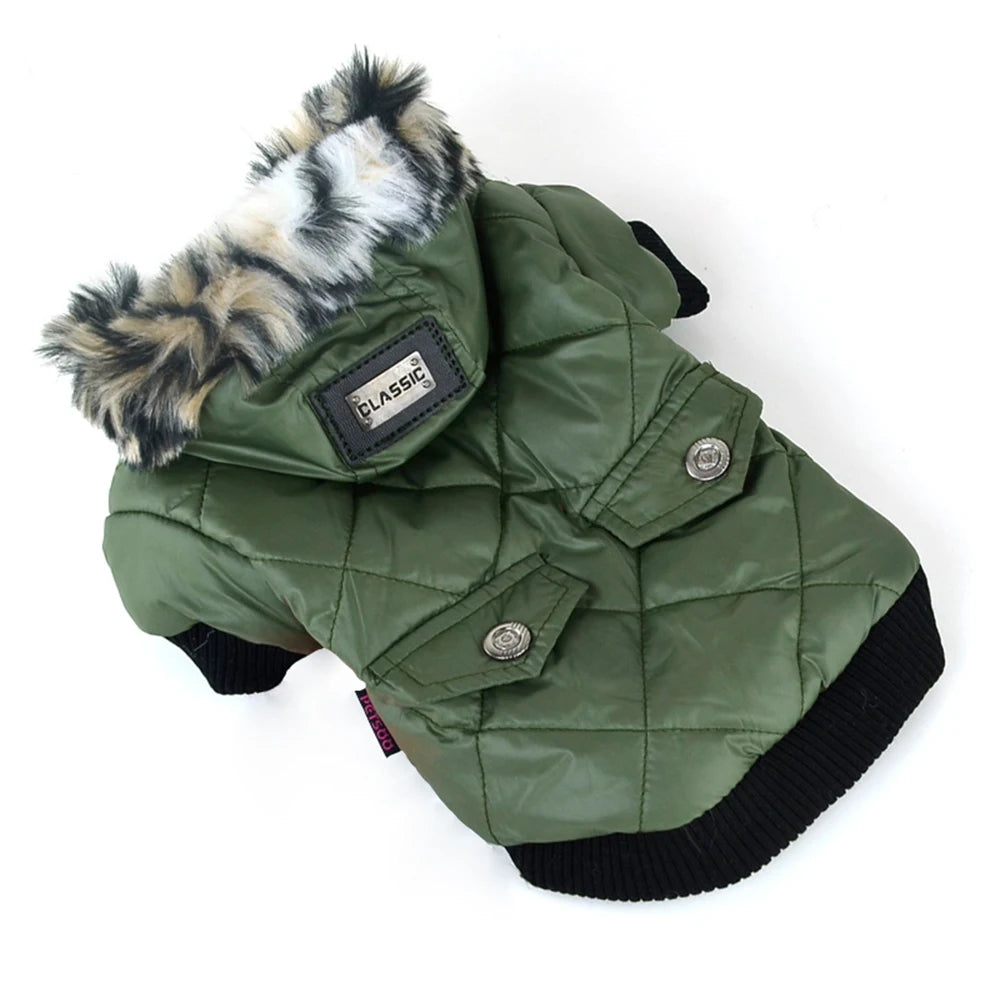 Waterproof Winter Jacket with Print Collar for your pup.