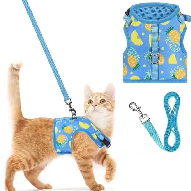 Escape Proof Breathable Cat Harness and Leash Set