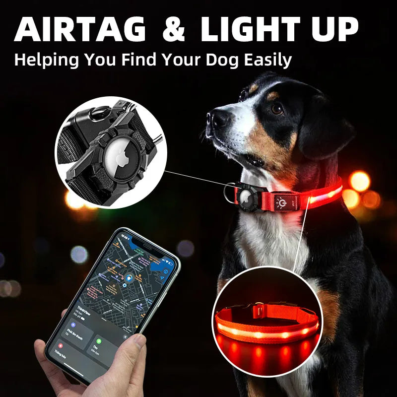 Waterproof, USB Chargeable Collar For Apple Airtag