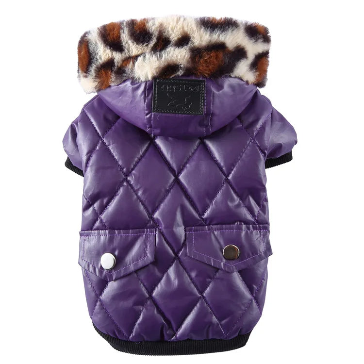 Waterproof Winter Jacket with Print Collar for your pup.