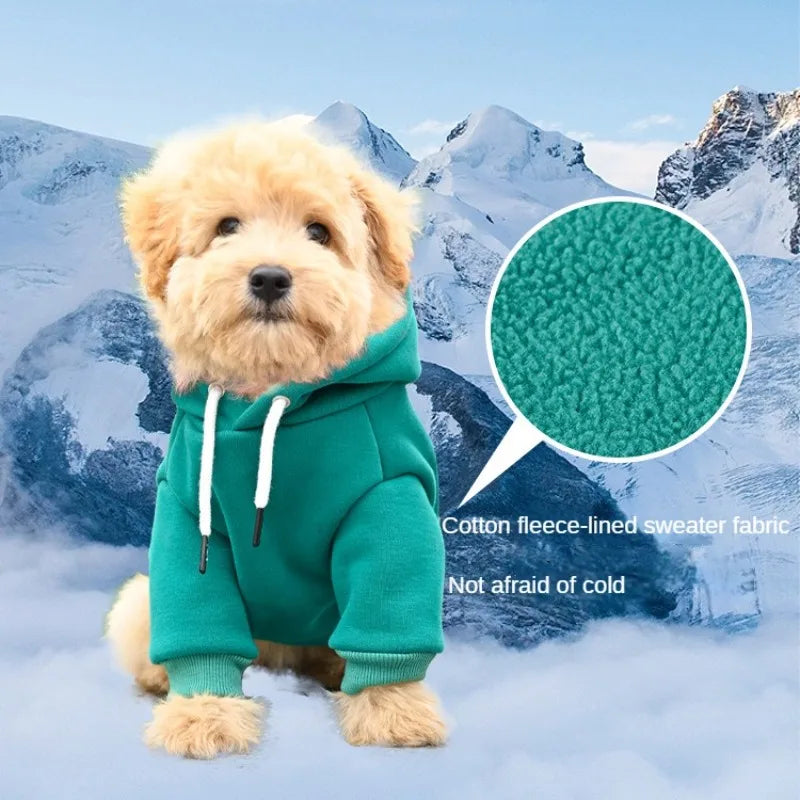 Hoodie Sweater for your pup.