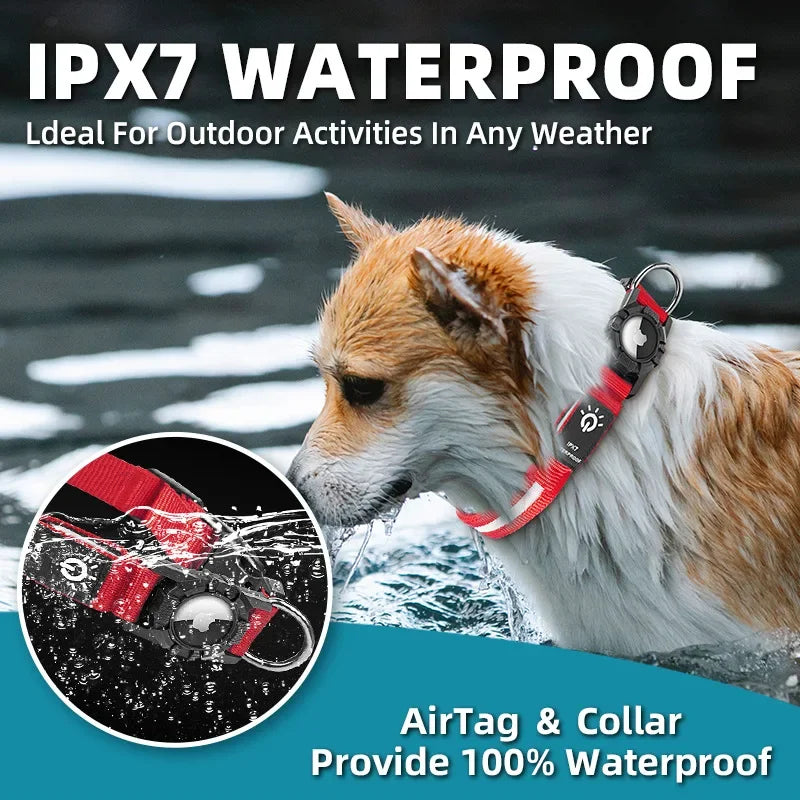 Waterproof, USB Chargeable Collar For Apple Airtag