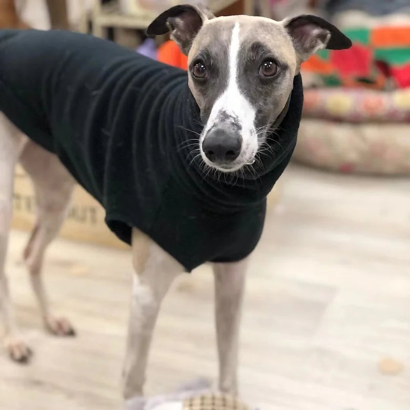 Solid Color Fleece High-neck Winter Vest for Greyhound or Whippet.